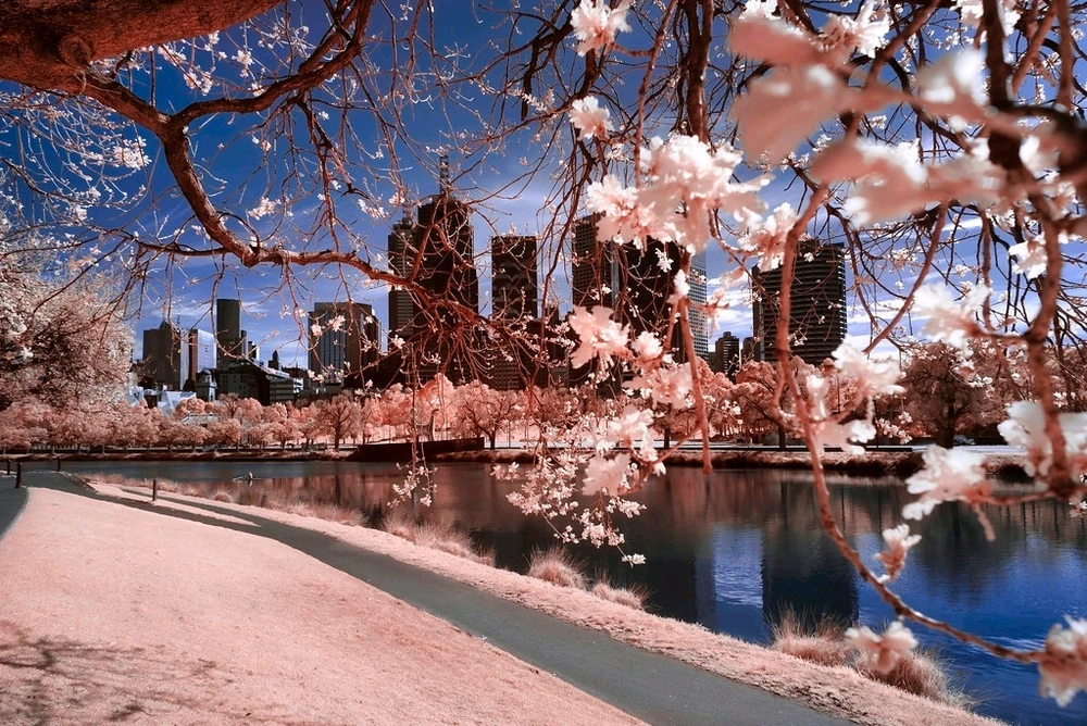 GIF uploaded by Serge Aus