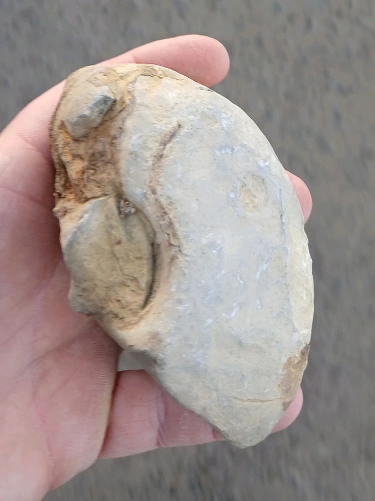 Bild hochgeladen von Herbert = ᚺᛖᚱᛒᛖᚱᛏ