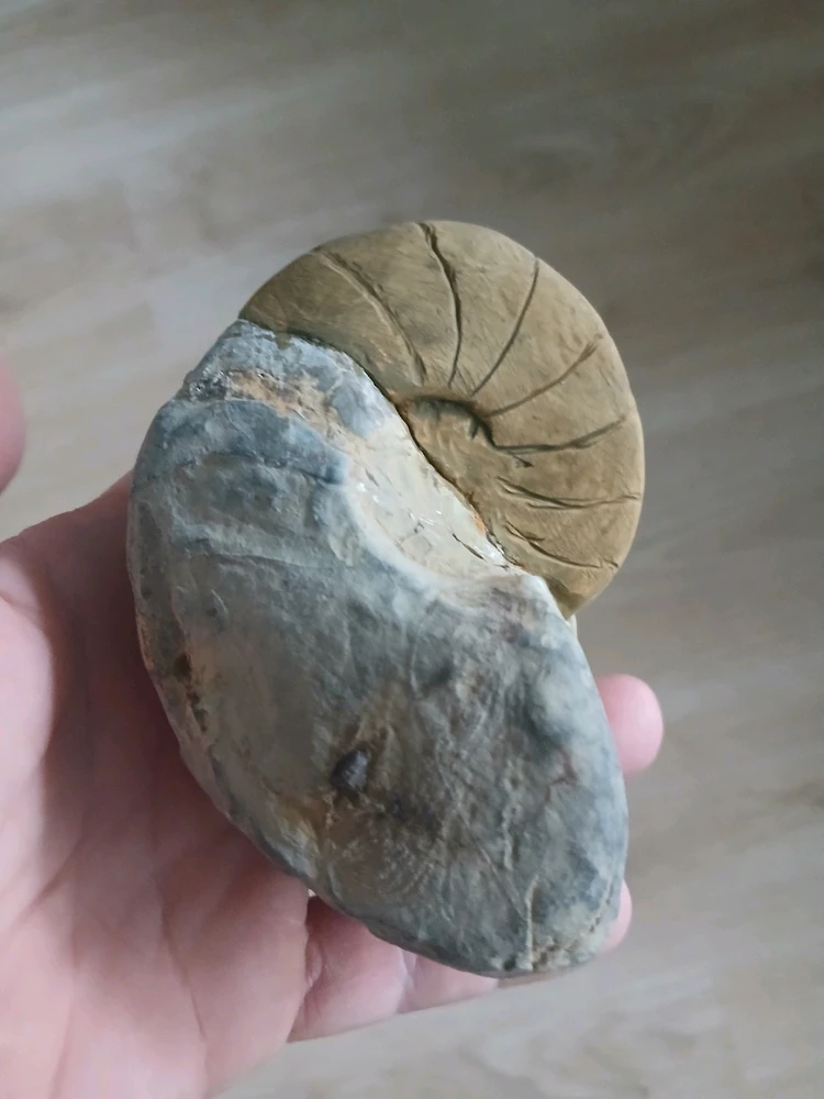 Bild hochgeladen von Herbert = ᚺᛖᚱᛒᛖᚱᛏ