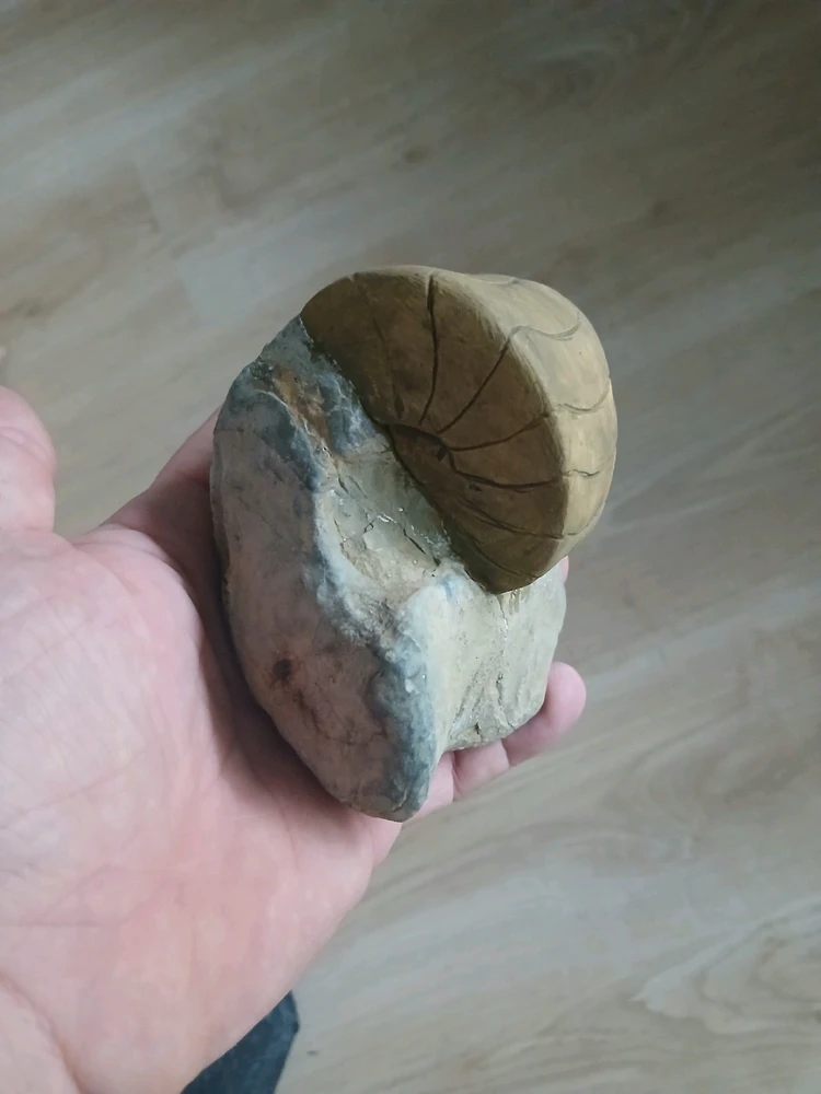 Bild hochgeladen von Herbert = ᚺᛖᚱᛒᛖᚱᛏ