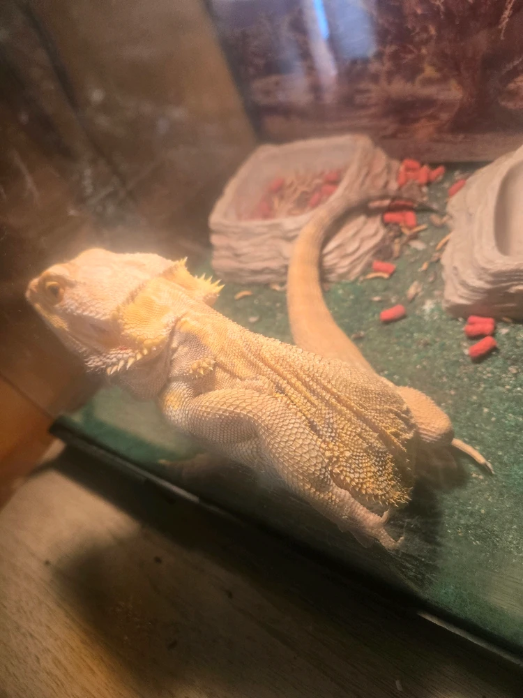 Image uploaded by Alexander