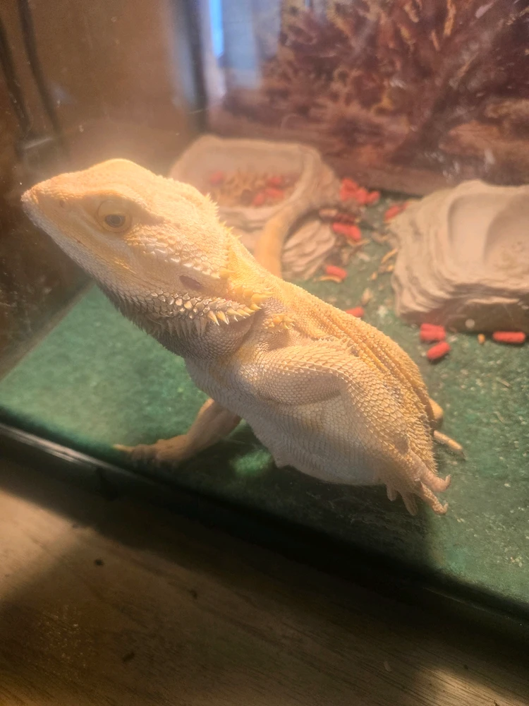 Image uploaded by Alexander