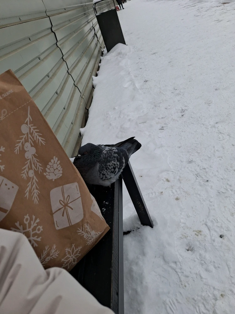 GIF uploaded by Arnita