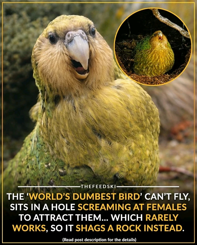 GIF uploaded by Aaron