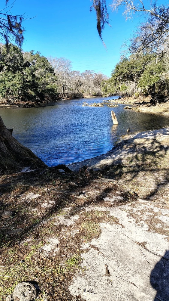 Image uploaded by Joe