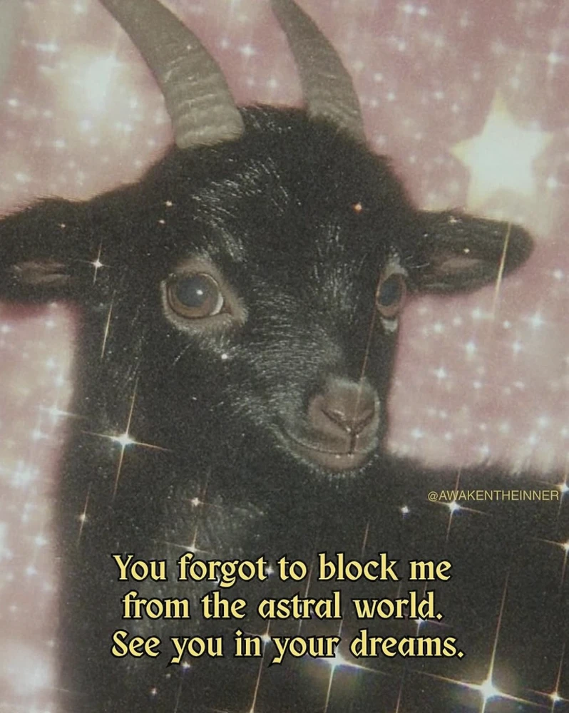 Image uploaded by Dave