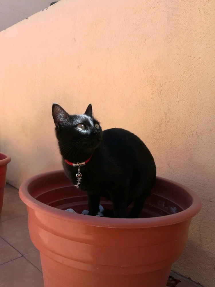 GIF subido por ❤ Sophia aka Mango Mami ❤️