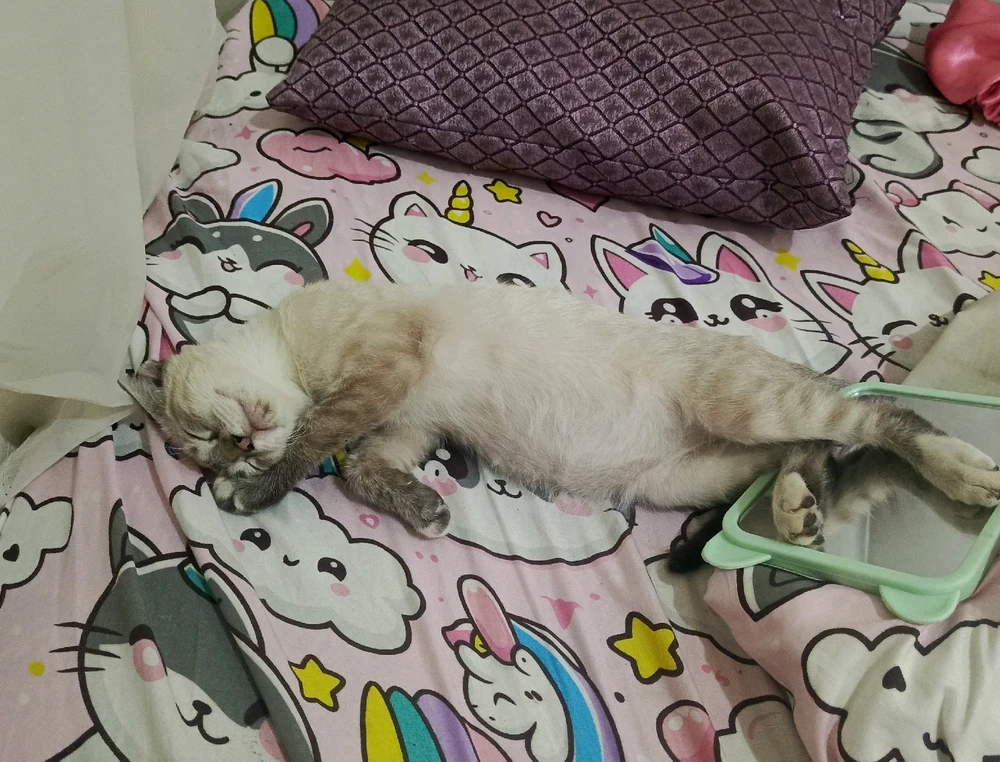 GIF subido por Alana