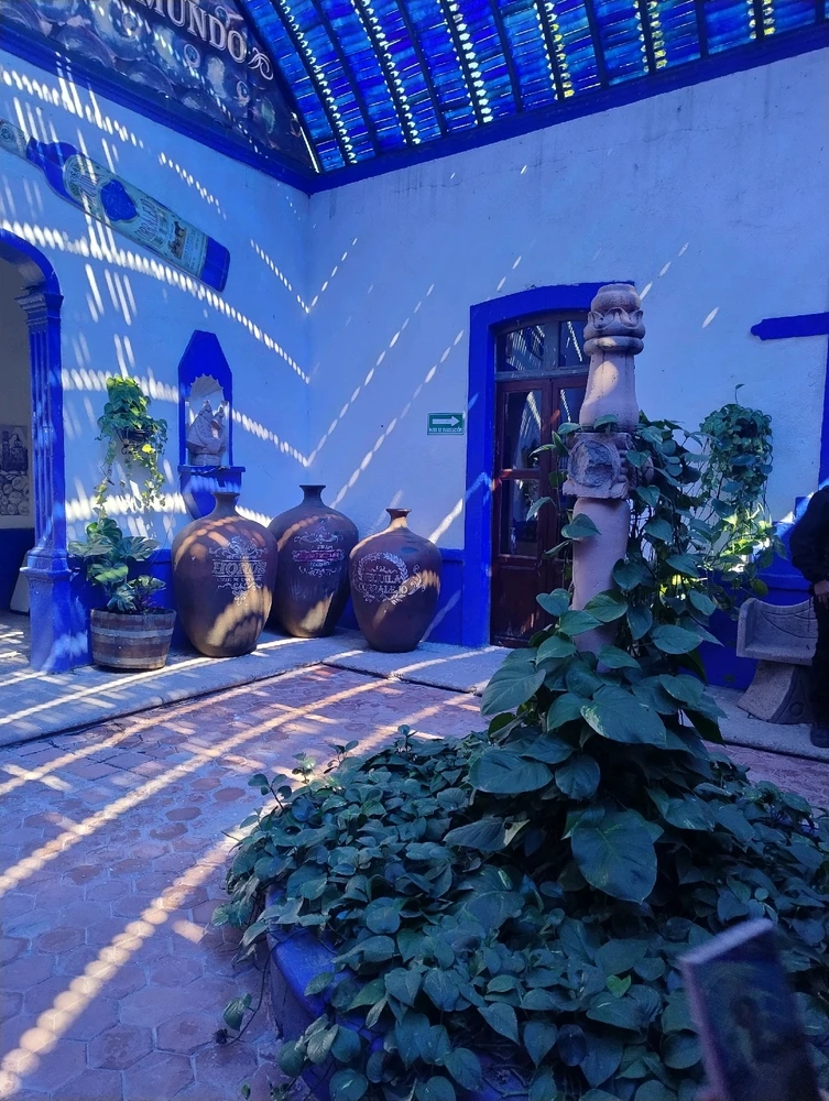 Imagen subida por Elsy