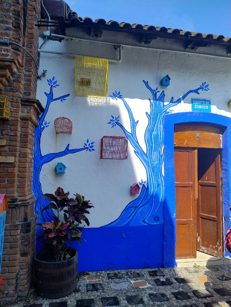 Imagen subida por Elsy