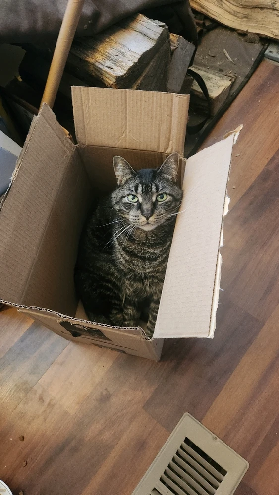 GIF diunggah dening Dante