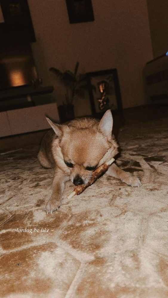 GIF uploaded by Kristoffer