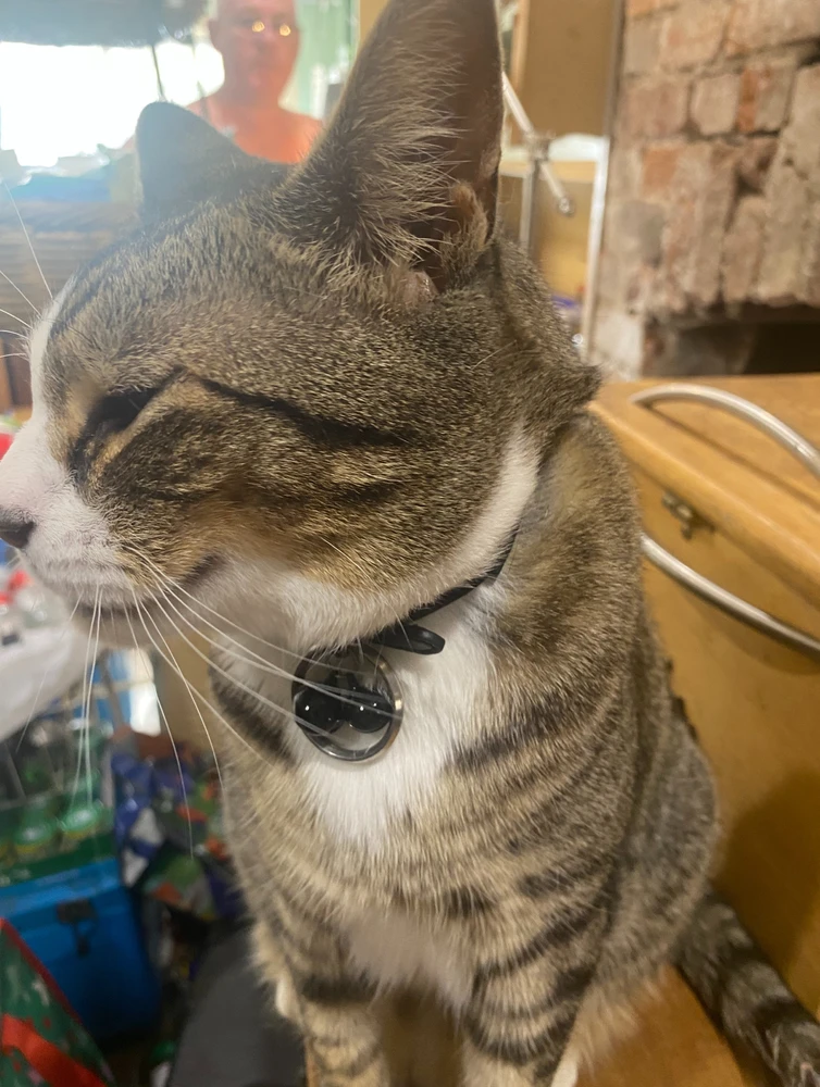 GIF uploaded by Barry