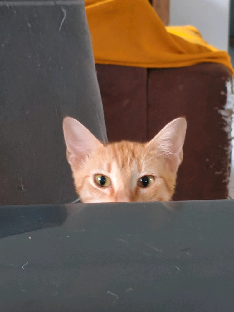 Imagem enviada por Serena