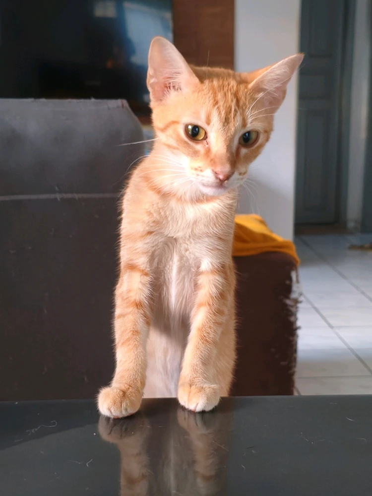 Imagem enviada por Serena