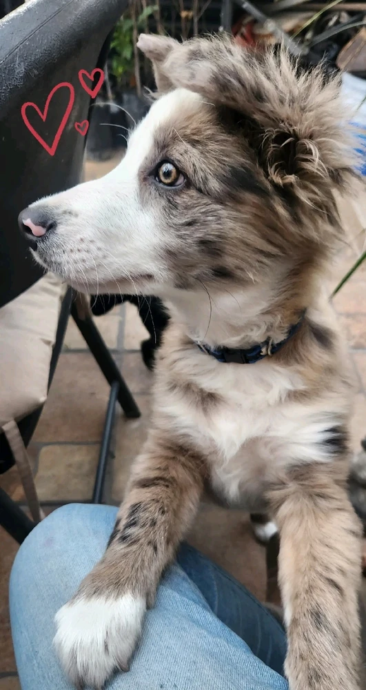 GIF uploaded by ᘻᗩᖇᑢᘿᒪᗩ