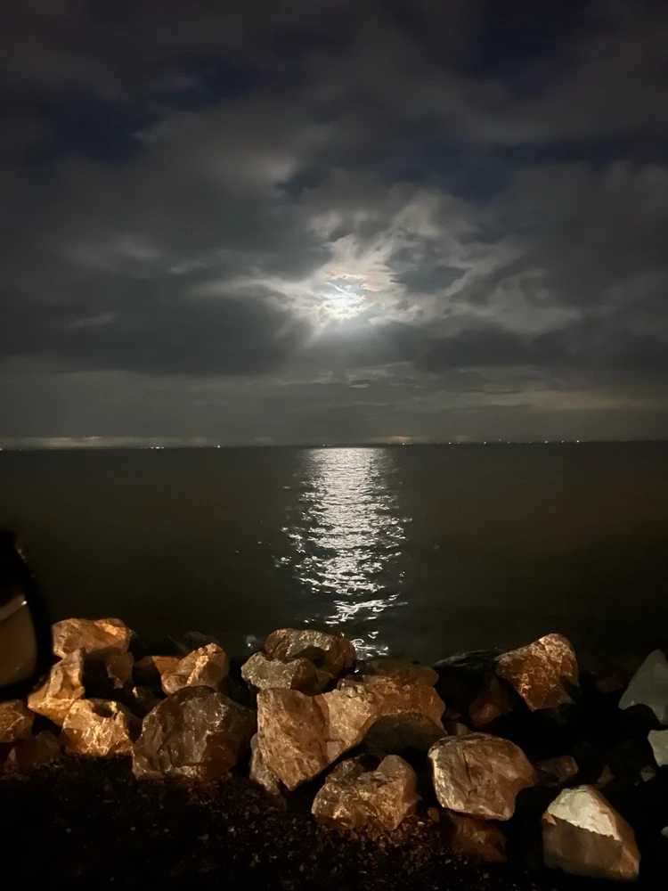 GIF uploaded by Taye