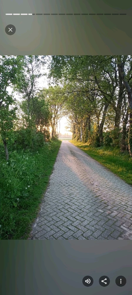 GIF hochgeladen von Lucas