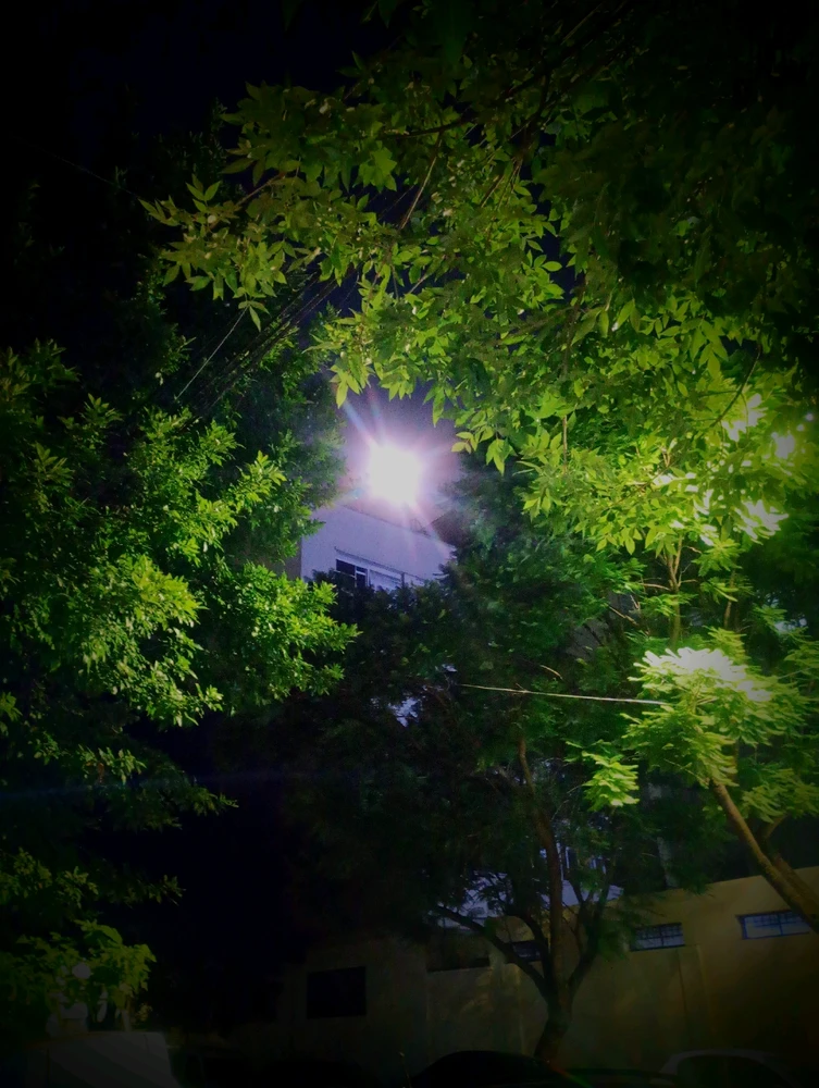 GIF subido por Barbara