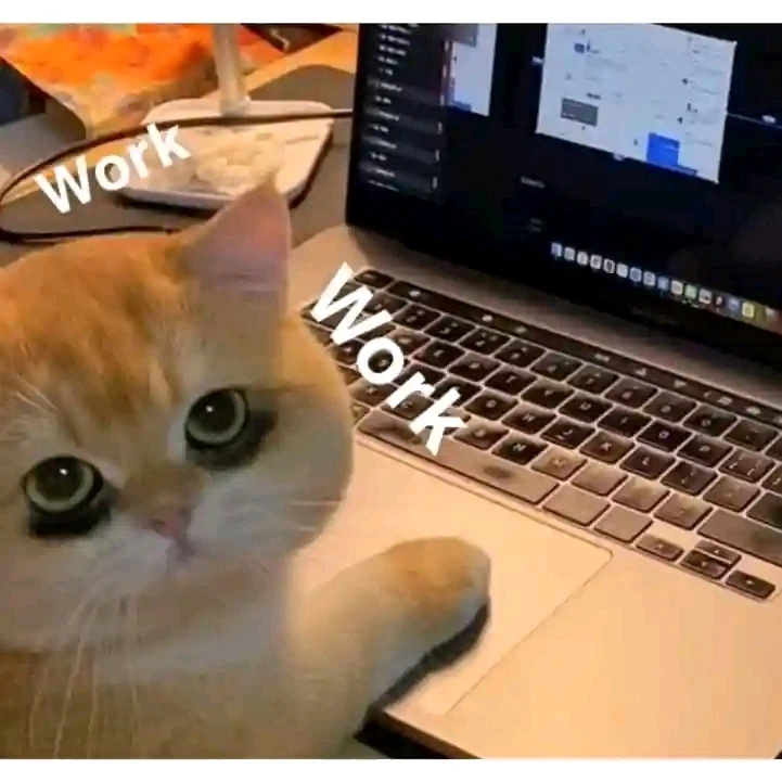 GIF uploaded by Dragoness