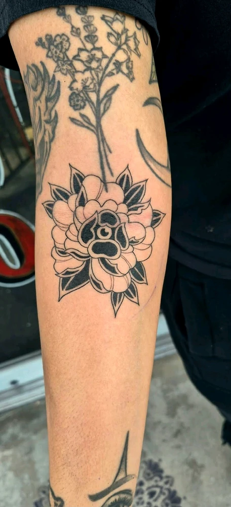 Image uploaded by Paul