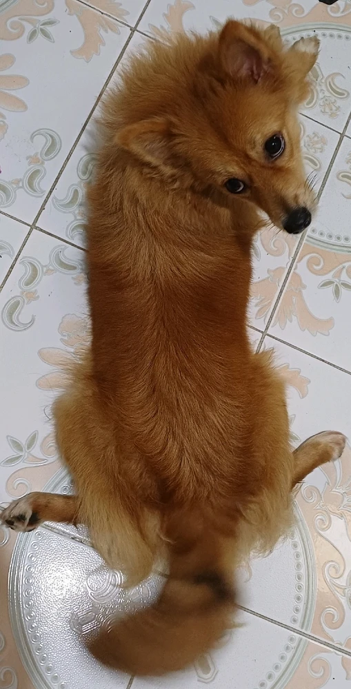 GIF uploaded by BRIGITTA