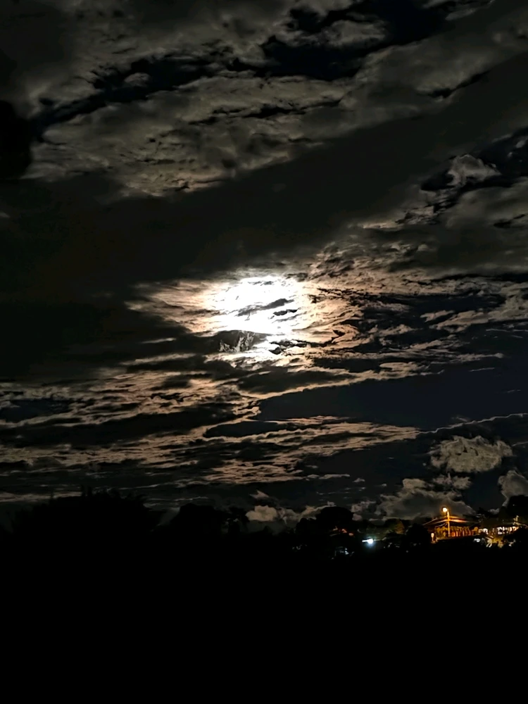 Image uploaded by Alton