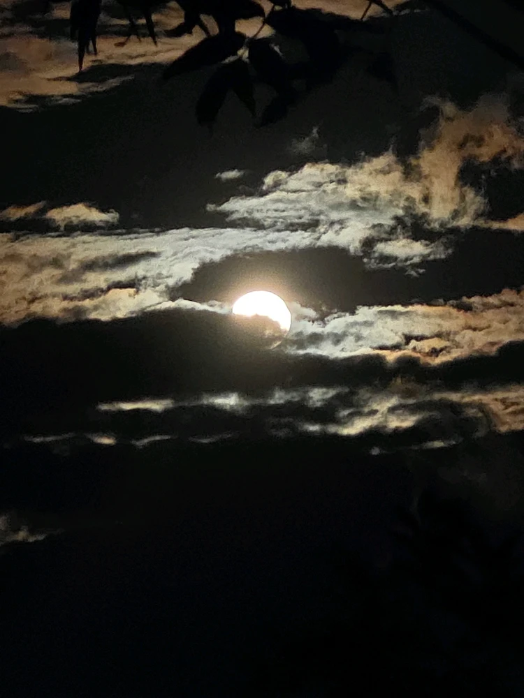 Image uploaded by Alton