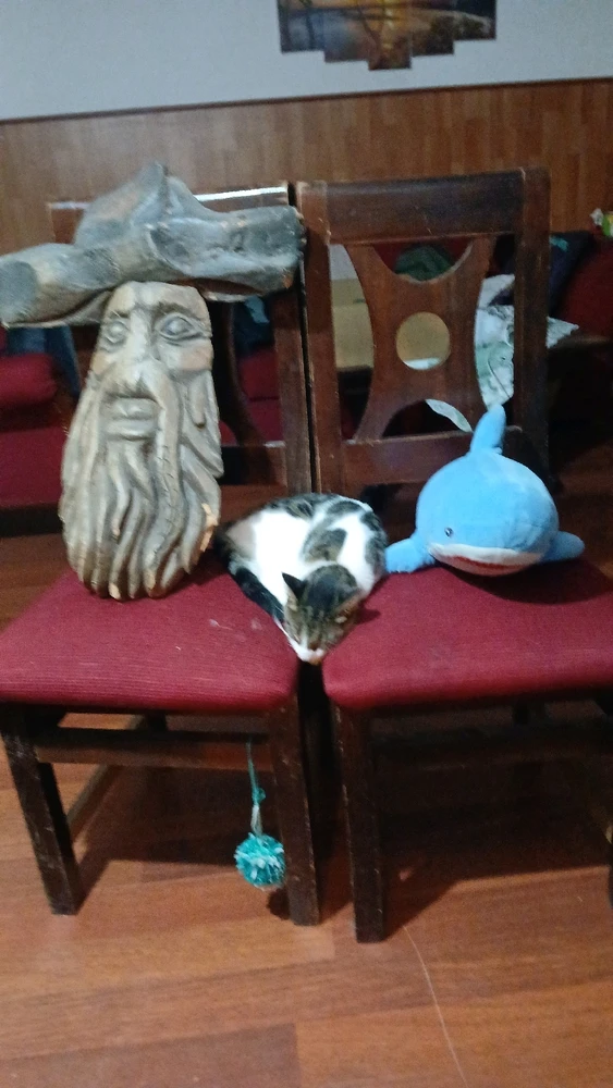 Imagen subida por Elias