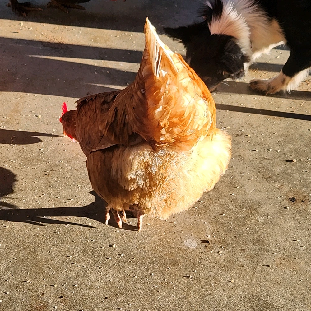 GIF uploaded by Levi