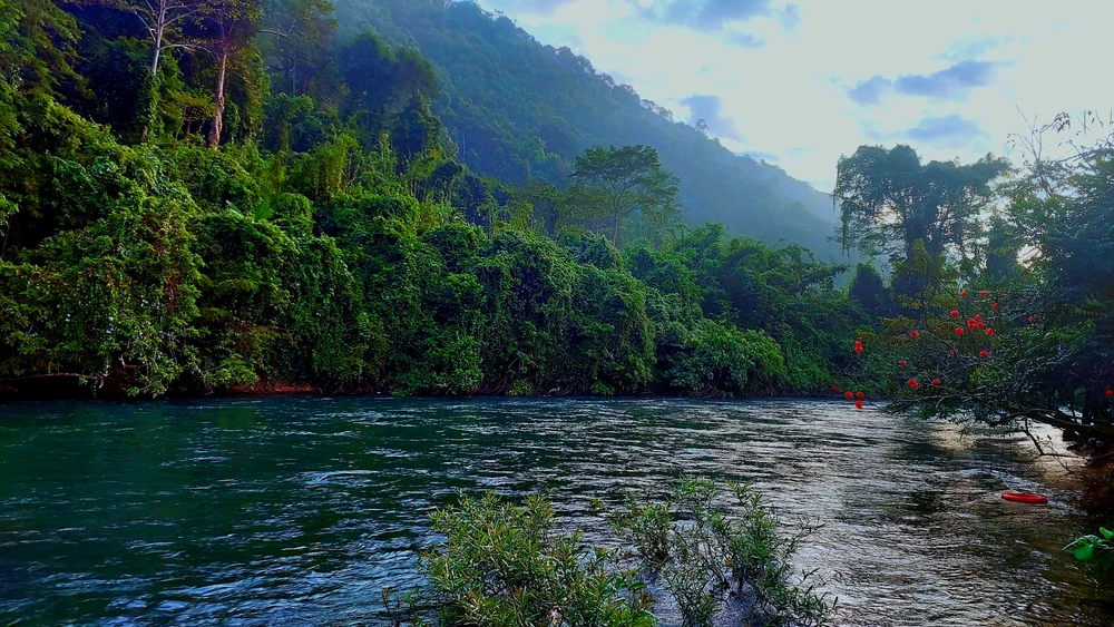 GIF được Tony Nguyễn tải lên