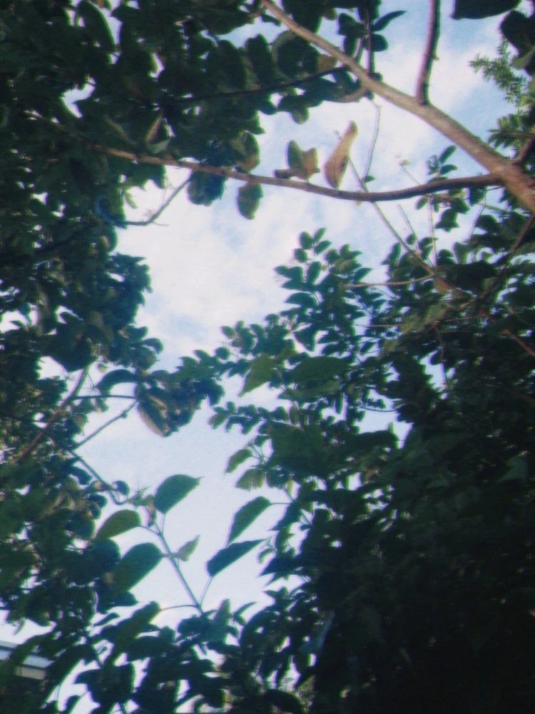 Image uploaded by Kim