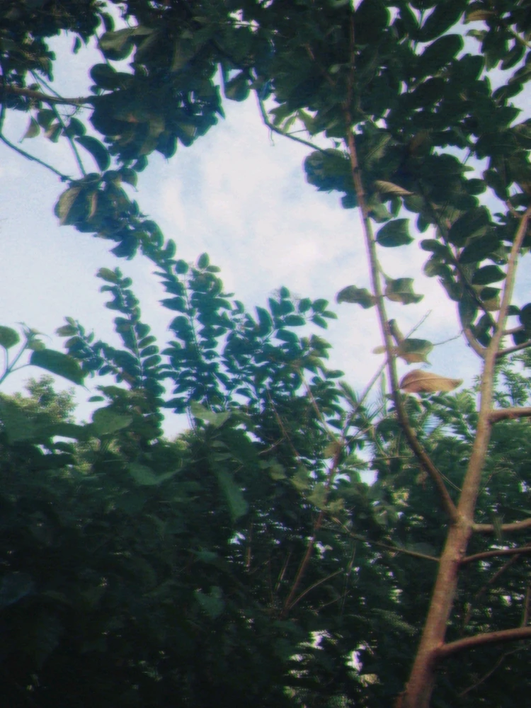 Image uploaded by Kim