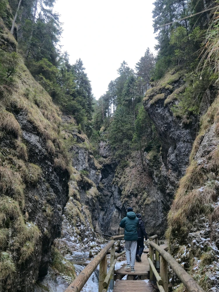 Fotku nahral/-a Denys