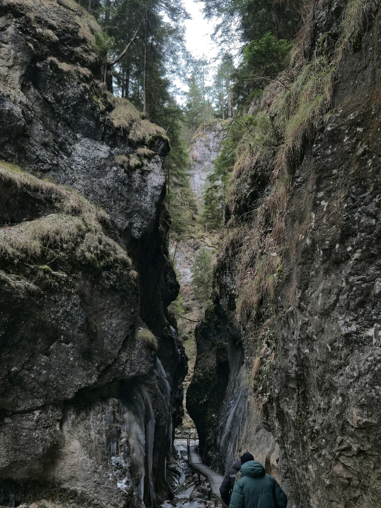 Fotku nahral/-a Denys