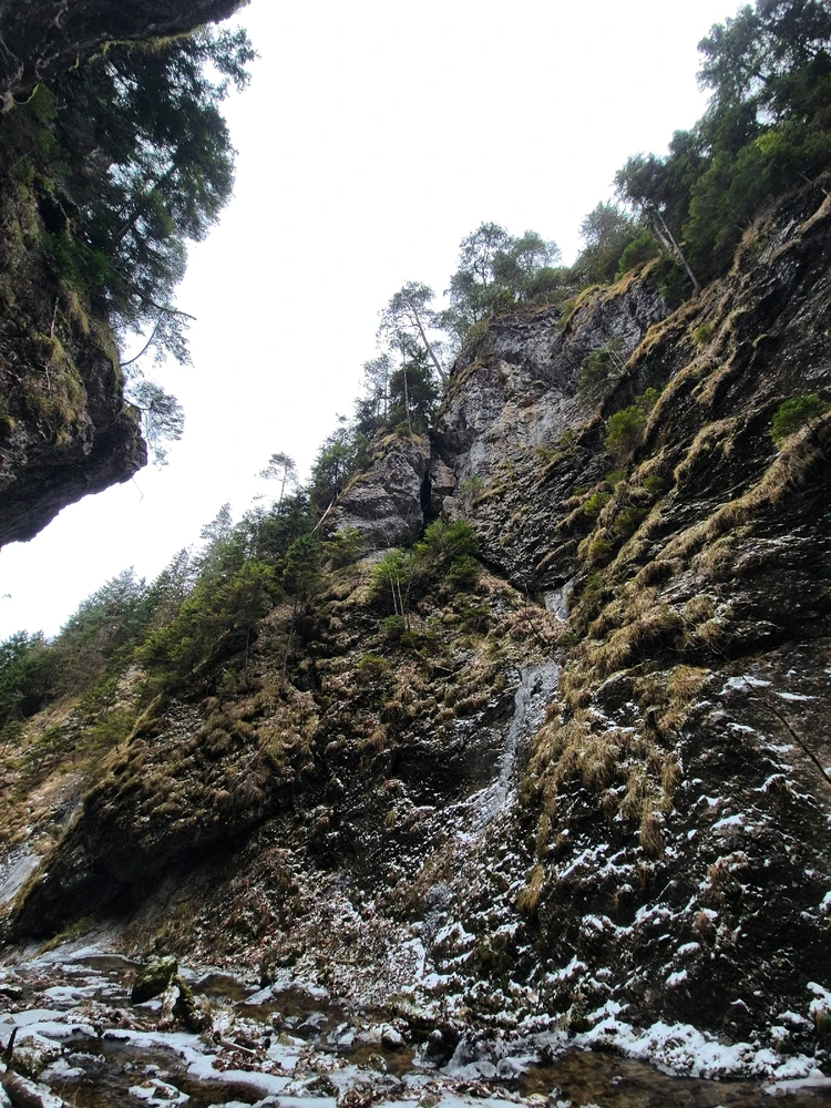 Fotku nahral/-a Denys