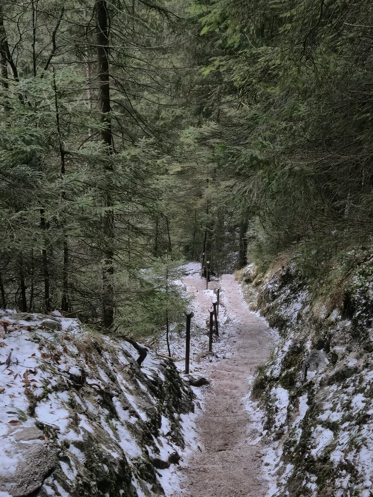 Fotku nahral/-a Denys