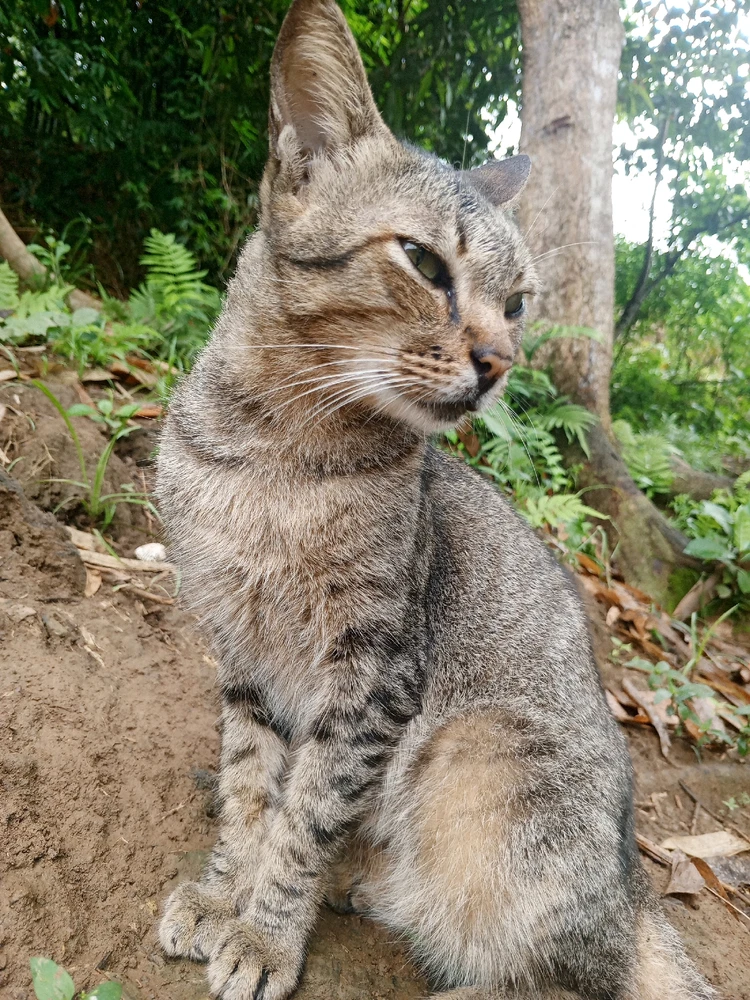 Image uploaded by Mi Ka