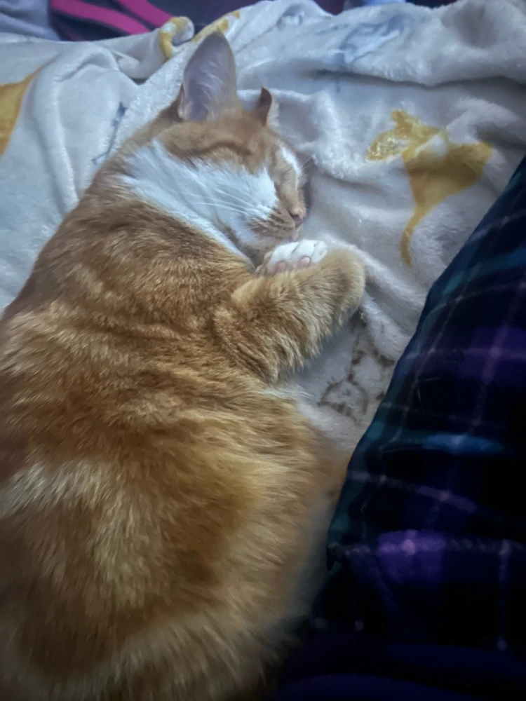 GIF uploaded by Nikki