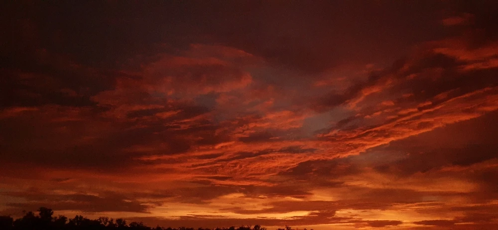 Gambar diunggah oleh Estrovi