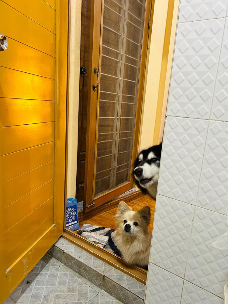 Image uploaded by Ruby