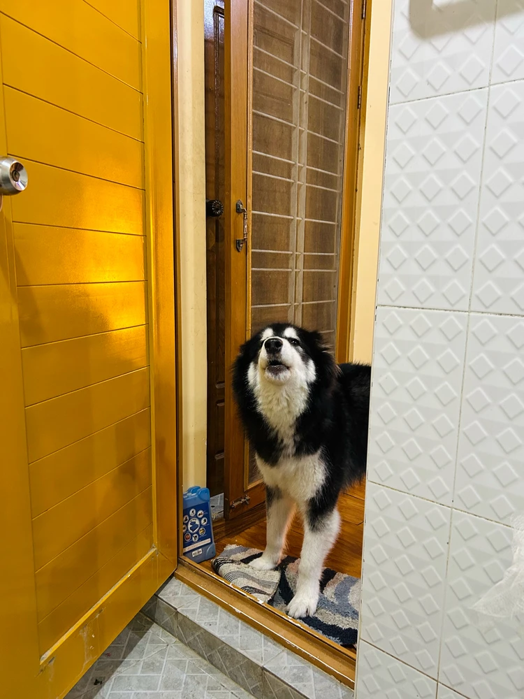 Image uploaded by Ruby