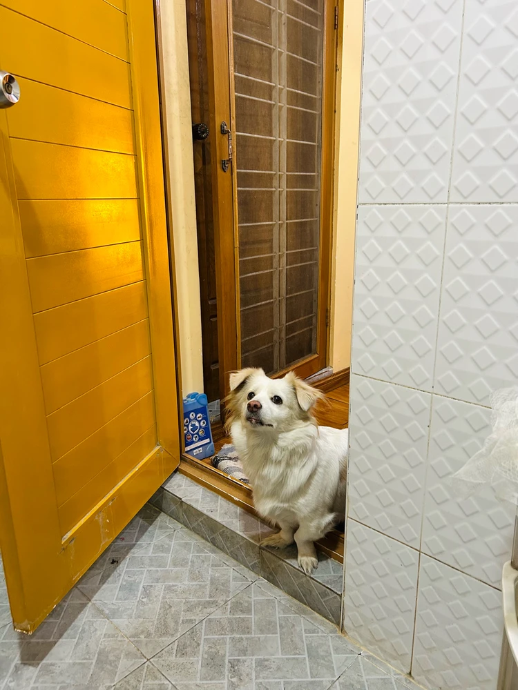 Image uploaded by Ruby