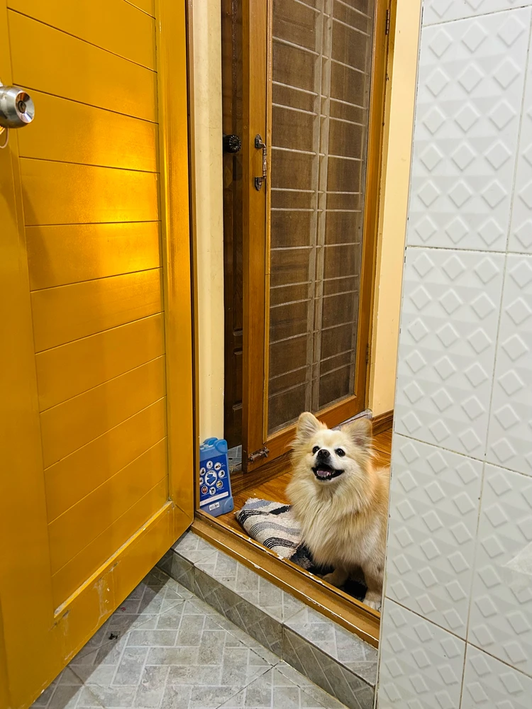 Image uploaded by Ruby