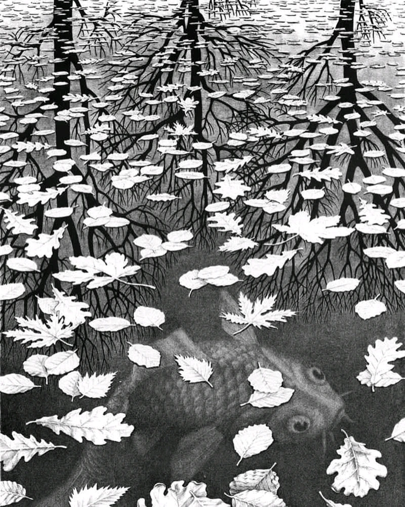 GIF caricata da Nadia