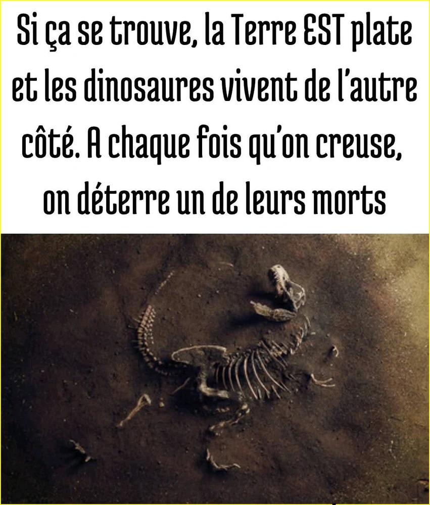 GIF ajouté par Mikaël