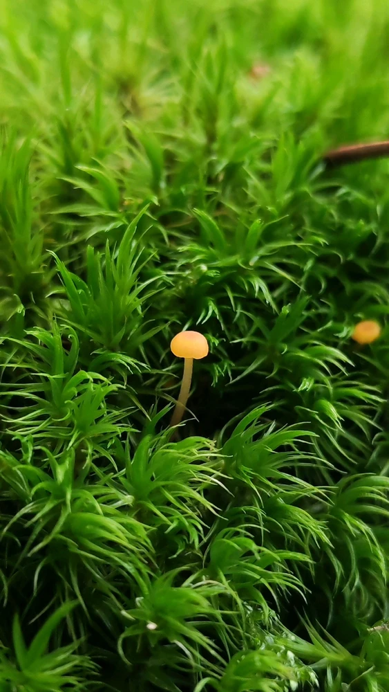 GIF ajouté par Pauline