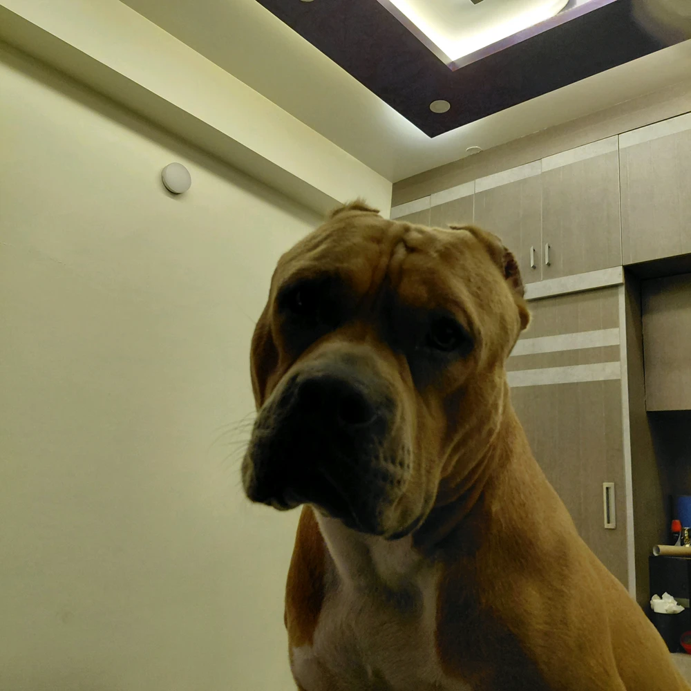 GIF uploaded by Kaoushik