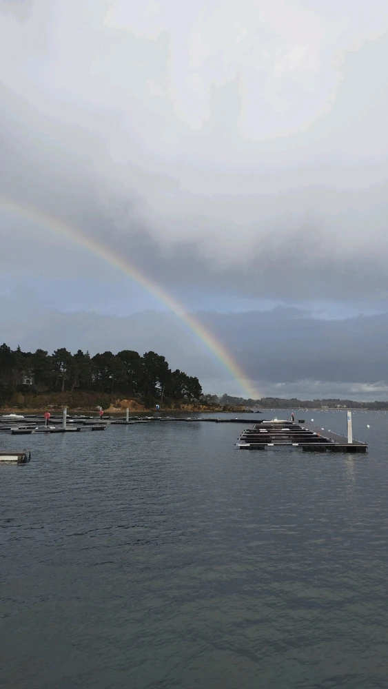GIF ajouté par Océane 🦋