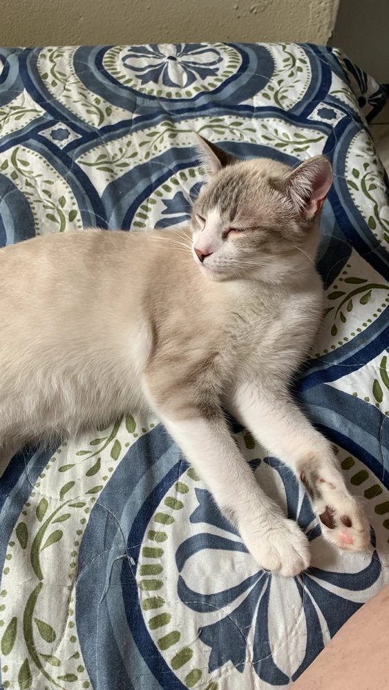 Imagem enviada por Luciana Miyagi